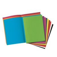 Rainex CHEMISES DOSSIER COLORIS VIFS ET FLUOS AP-813457