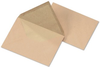 Lot de 300 enveloppes professionnelles autocollantes standard colorées pour  chèques de bureau, affaires, lettres et factures, 10 x 24 cm : :  Fournitures pour le bureau
